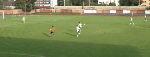 FanaTicks giphyupload GIF
