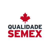 Semex Team Sticker by semexbrasil