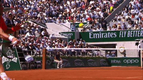 novak djokovic tennis GIF by Roland-Garros