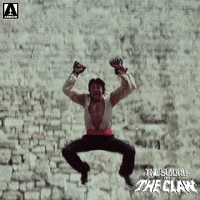 Flying Here I Am GIF by Arrow Video