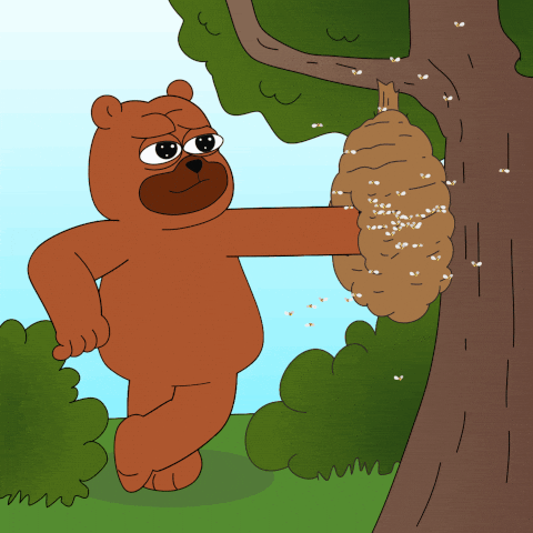 Bear Weekend GIF by Bearycoin