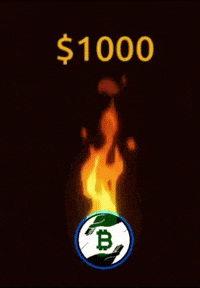GIF by Newscrypto.io
