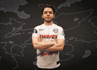 You Bet Yes GIF by 100 Thieves