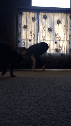 GIF by AFV Epic Fails