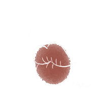 Girl Love Sticker by MEMEBOX