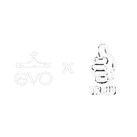 Evo Sticker by Trew Gear
