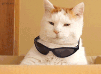GIF by Demic