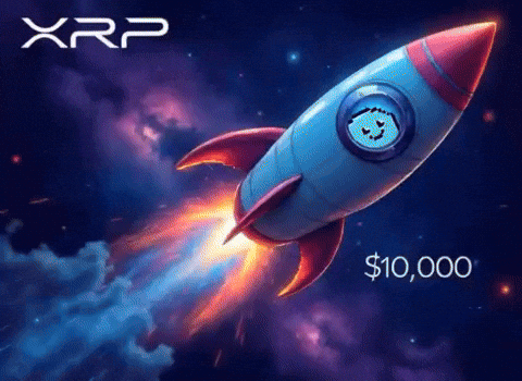 Drop Xrp GIF by $DROP