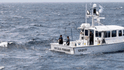 Wicked Tuna Fishing GIF by National Geographic Channel