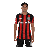 Good Morning Smile Sticker by Bayer 04 Leverkusen