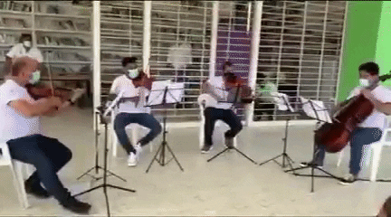 camerataheroica giphyupload colombia cartagena orquesta GIF