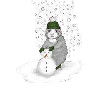 anni-sophie snow guineapig cavy meerschweinchen Sticker