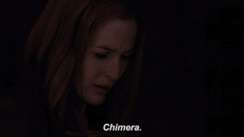 scully mulder GIF by The X-Files