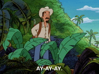 hey arnold nicksplat GIF