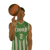 Liga Endesa Spinning Sticker by ACB