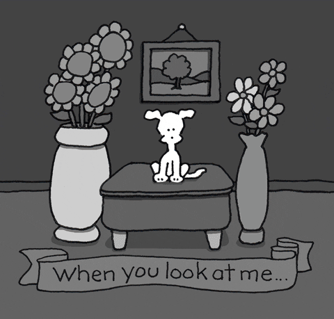 chippythedog giphyupload love i love you crush GIF