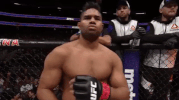 ufc 209 GIF
