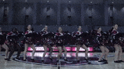 Happy Dance GIF by Roanoke College