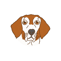 Happy Basset Hound Sticker by Bedsider