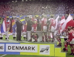 Celebrate Great Danes GIF by UEFA
