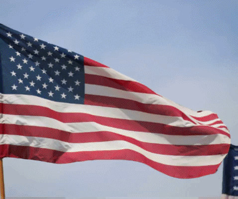 American Flag America GIF by RIZNWILD