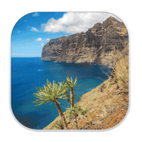 Venturetenerife Sticker by Venture Restaurants Tenerife