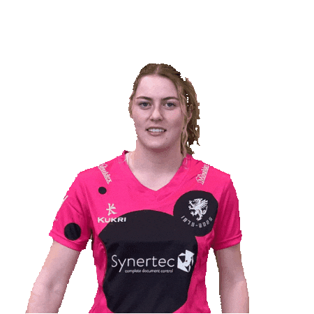 Anderson Wicket Sticker by Somerset County Cricket Club