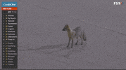 Racing Motorsports GIF by NASCAR