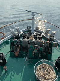 Cruise Ship Bug GIF by A-ROSA Kreuzfahrten