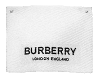 brby17 thebseries Sticker by Burberry