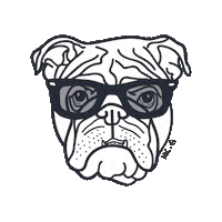 thesoulcreative dog summer confused sunglasses Sticker