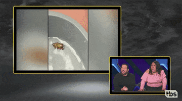 Impractical Jokers Tbs GIF by The Misery Index