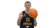 Basketball Hoops Sticker by Basket_fi