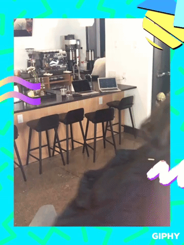 framebeta GIF