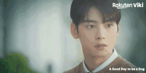 Cha Eun Woo Kdrama Couple GIF by Viki