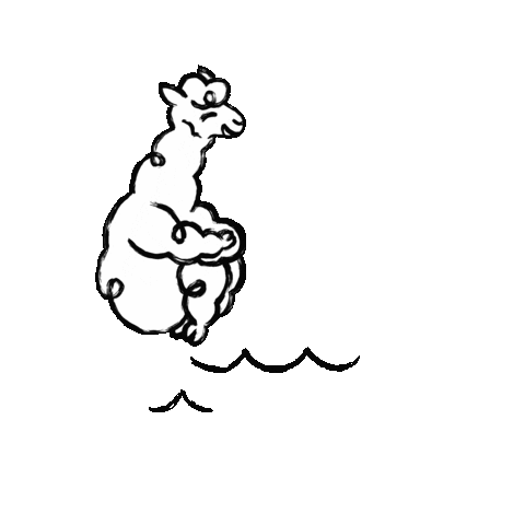 PakaApparel giphyupload sebastian alpaca paka Sticker