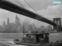 New York Nyc GIF by Turner Classic Movies