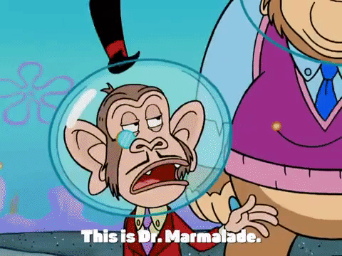 season 4 episode 10 GIF by SpongeBob SquarePants