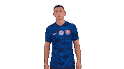 Celebration Goal Sticker by Slovensky futbalovy zvaz