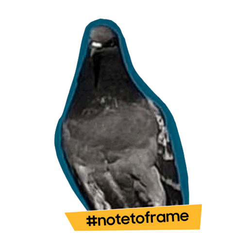 Notetoframe Sticker by Samsung Romania