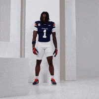 College Football Celebration GIF by Auburn Tigers