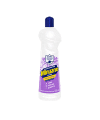 Limpeza Faxina Sticker by Minuano