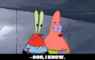 season 6 episode 23 GIF by SpongeBob SquarePants