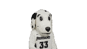 Dog Mascot Sticker by Providence Friars