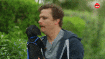 Boop
