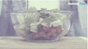 GIF by Mashable