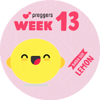 Baby Lemon Sticker by Preggers