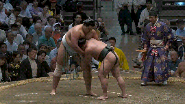 TZ85 giphyupload sumo 2023 aki basho midorifuji GIF