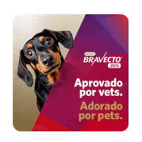 Bravecto Pulgas Sticker by MSD Família Pet