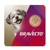 Bravecto Pulgas Sticker by MSD Família Pet